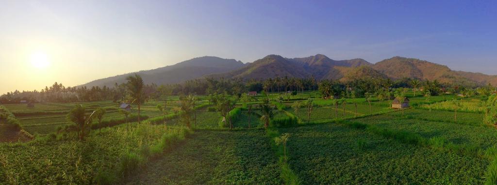 D'Sawah Amed Homestay & Warung Room photo