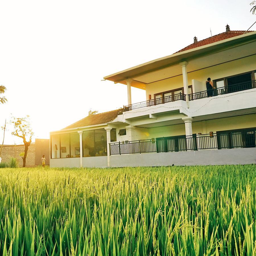 D'Sawah Amed Homestay & Warung Exterior photo